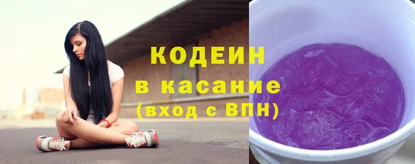 шишки Арсеньев