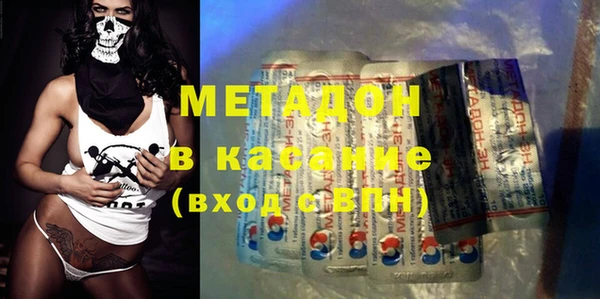 шишки Арсеньев