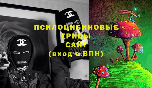 прущие крисы Армянск