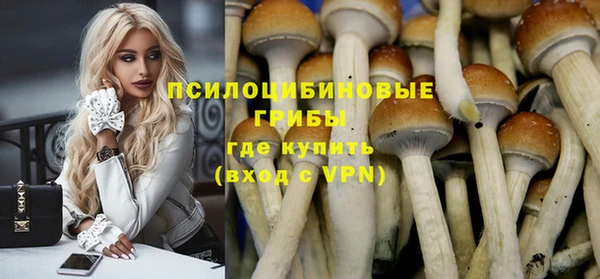 шишки Арсеньев