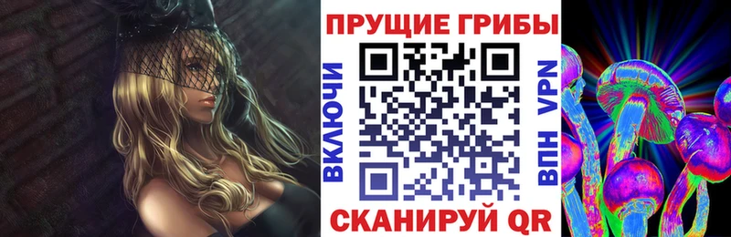 Галлюциногенные грибы Cubensis  дарк нет официальный сайт  Ясный 